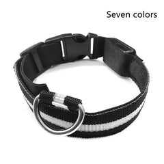 Glow Guard LED Pet Collar & Leash