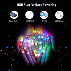 Glow Sync Bluetooth LED Fairy Lights