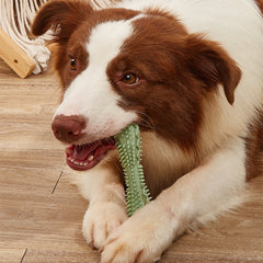 Clean Bite Dog Toothbrush & Chew Toy