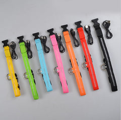 Glow Guard LED Pet Collar & Leash