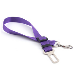 Poly Flex Fixed Strap Dog Leash