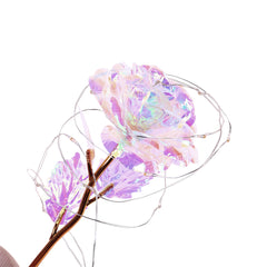 Ever Glow Enchanted Rose with LED Light