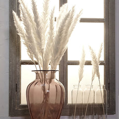 Reed Bloom Dried Flower Home Decor