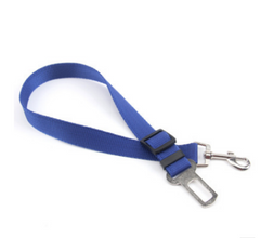 Poly Flex Fixed Strap Dog Leash