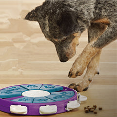 Pawsitive Learn & Play Dog Toy