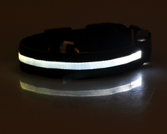 Glow Guard LED Pet Collar & Leash