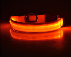 Glow Guard LED Pet Collar & Leash