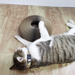 Magic Paws Foldable Cat Scratcher