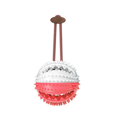 Suction Bite Interactive Dog Chew & Clean Toy