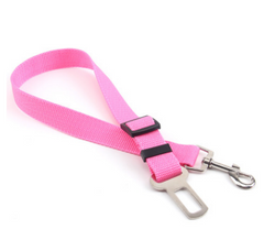 Poly Flex Fixed Strap Dog Leash