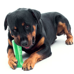 Silicone Clean Pet Toothbrush Stick for Dogs