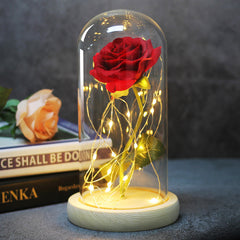 Ever Glow Enchanted Rose with LED Light