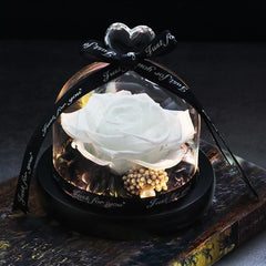 Eternal Glow LED Rose Home