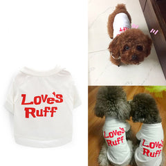 Cozy & Stylish Clothing for Pets