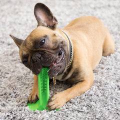 Silicone Clean Pet Toothbrush Stick for Dogs