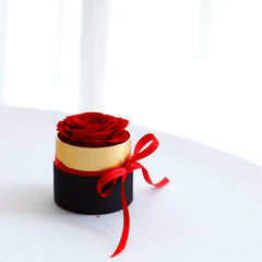 Eternal Bloom Preserved Rose Gift Box