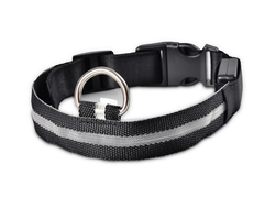 Glow Guard LED Pet Collar & Leash