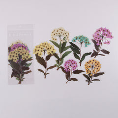 Floral Weekend DIY Deco Stickers