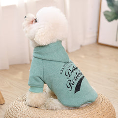 Stylish & Comfortable Clothing for Pets