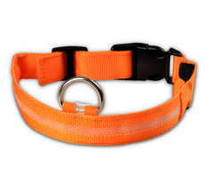 Glow Guard LED Pet Collar & Leash
