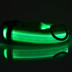 Glow Guard LED Pet Collar & Leash