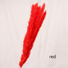 Reed Bloom Dried Flower Home Decor