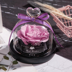 Eternal Glow LED Rose Home