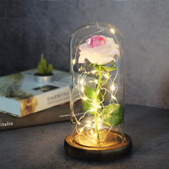 Ever Glow Enchanted Rose with LED Light