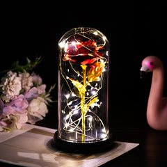 Ever Glow Enchanted Rose with LED Light
