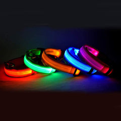 Glow Guard LED Pet Collar & Leash