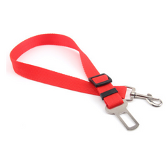 Poly Flex Fixed Strap Dog Leash