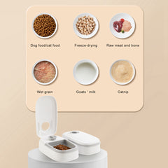 Automatic Pet Food Dispenser with Timer & Stainless Steel Bowl