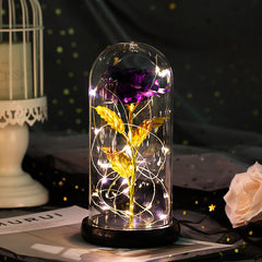 Ever Glow Enchanted Rose with LED Light