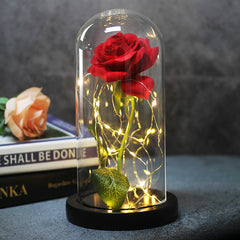 Ever Glow Enchanted Rose with LED Light