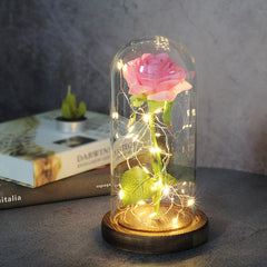 Ever Glow Enchanted Rose with LED Light