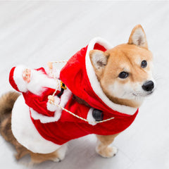 Jolly Paws Green Elf Dog Christmas Costume