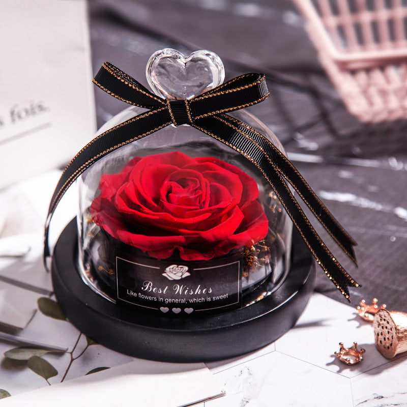 Eternal Glow LED Rose Home