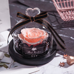 Eternal Glow LED Rose Home