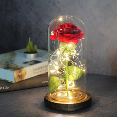 Ever Glow Enchanted Rose with LED Light
