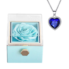 Rose Charm Jewelry Box & Necklace Set