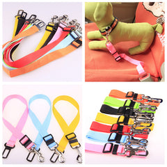 Poly Flex Fixed Strap Dog Leash