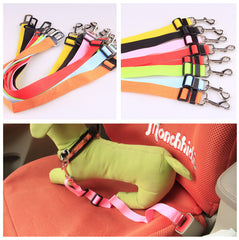 Poly Flex Fixed Strap Dog Leash