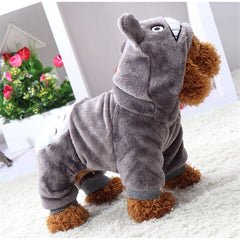 Trendy & Cozy Apparel for Pets