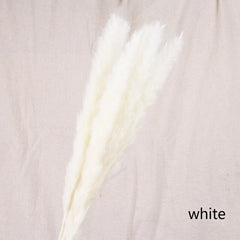 Reed Bloom Dried Flower Home Decor
