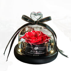 Eternal Glow LED Rose Home
