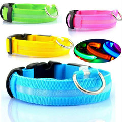 Glow Guard LED Pet Collar & Leash
