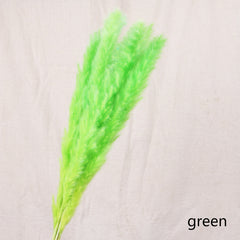 Reed Bloom Dried Flower Home Decor
