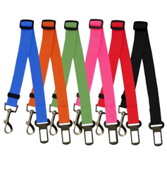 Poly Flex Fixed Strap Dog Leash