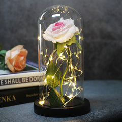Ever Glow Enchanted Rose with LED Light