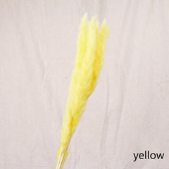 Reed Bloom Dried Flower Home Decor